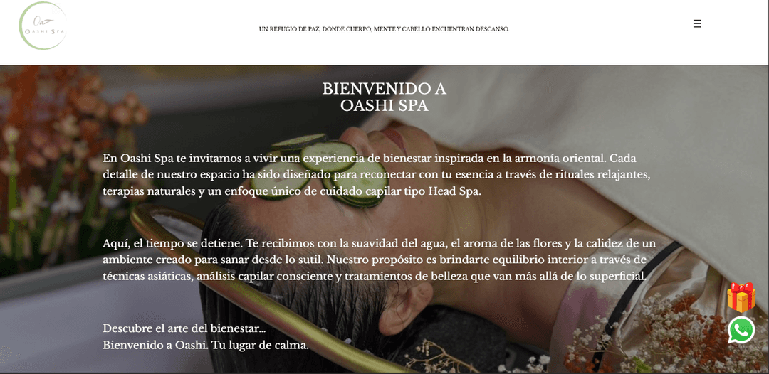 Sitio web Oashi Spa